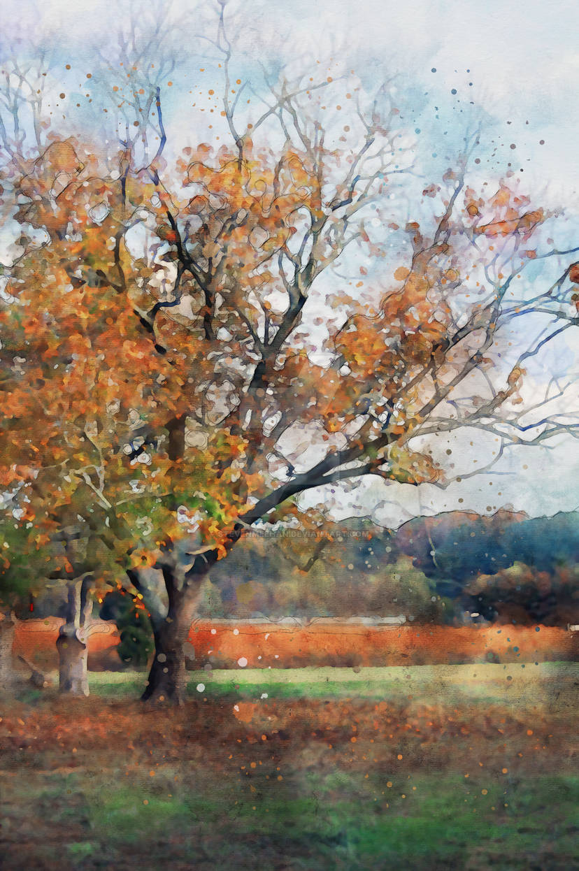 The same tree from a different angle, its branch structure gaining definition as the background falls away, rendered in watercolor.