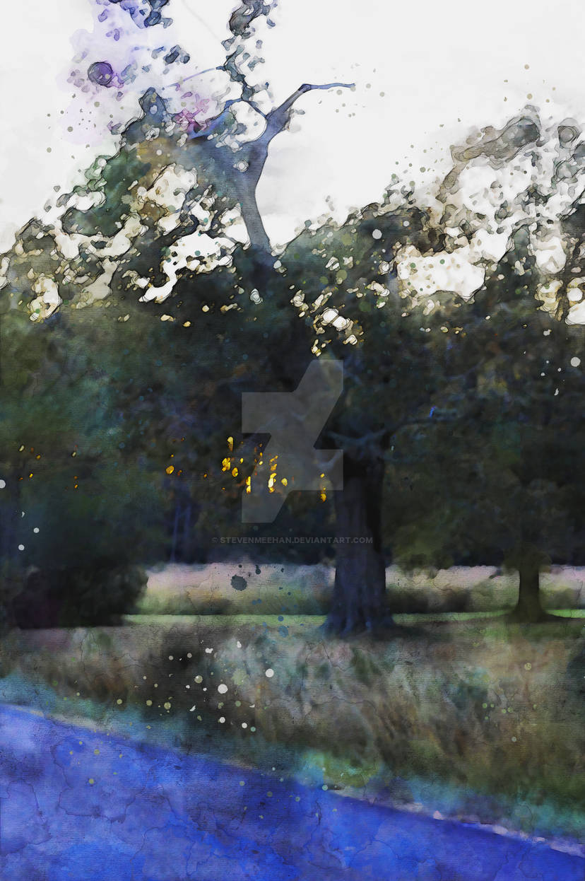 Solitary Tree 01 Solitary Tree 01