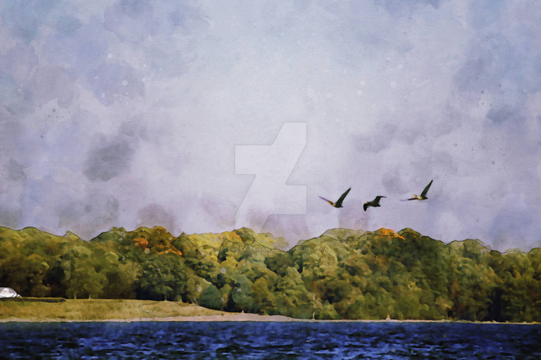 Life's Heralds Life's Heralds