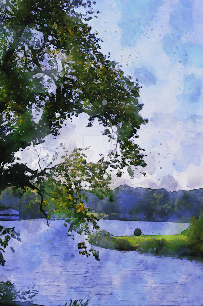 Docked Branches Docked Branches