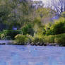 Verdant Coastline