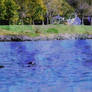 Calm Return