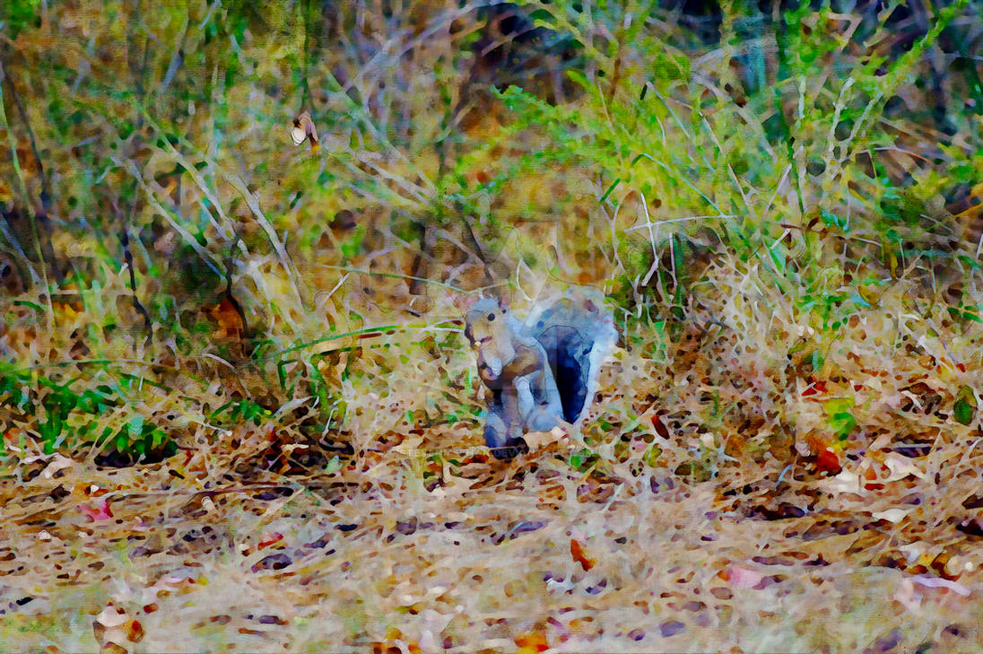 Secret Scout Secret Scout