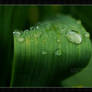 water drop 2