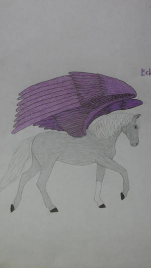 Echofrost by FantasyFeathers Echofrost by FantasyFeathers