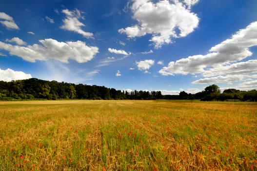 Somewhere in France in July