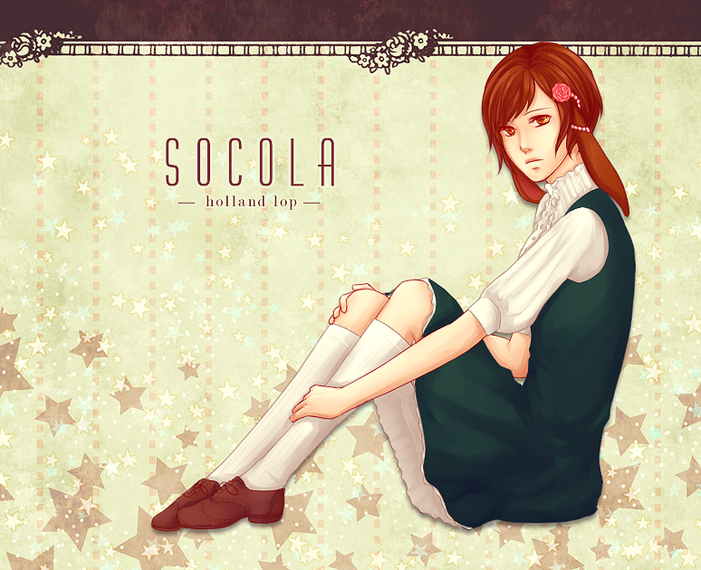 Socola