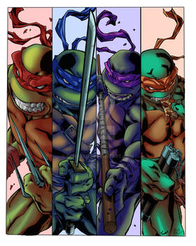 Ninja Turtles-TMNT