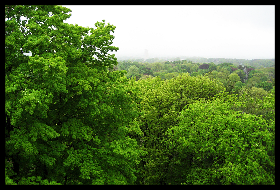 Study in Green