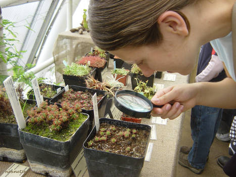 B5:: Anna + carnivorous plants