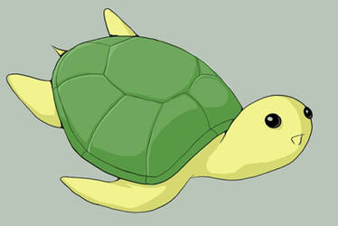 Turtle