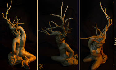 The Dryad