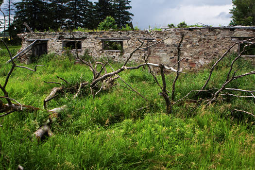 Abandoned Cattle house