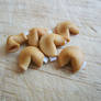 fortune cookies