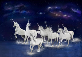 Unicorn herd