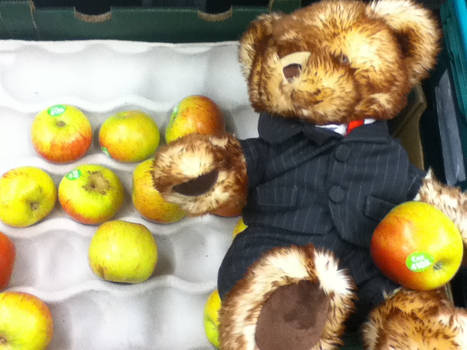 Mycroft Bears Trip to Tescos 8