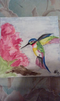 hummingbird