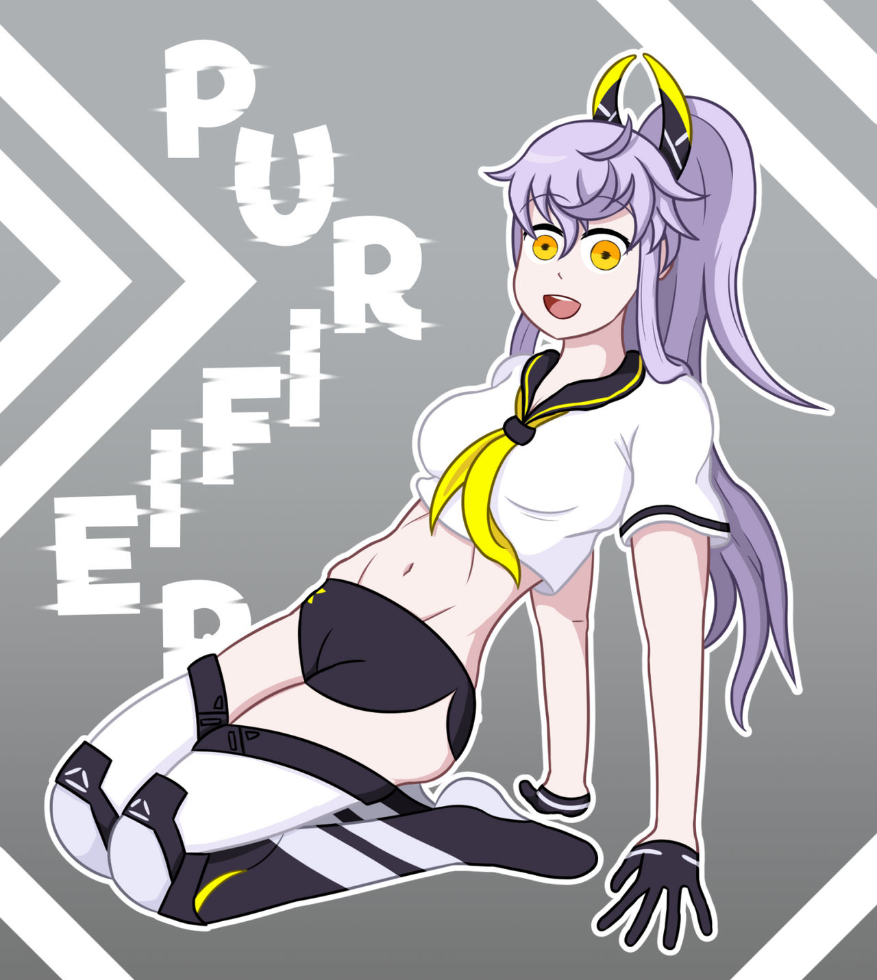 Purifier
