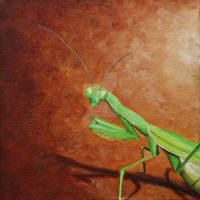 Marvin the Mantis