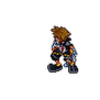 Sora Heal Animation