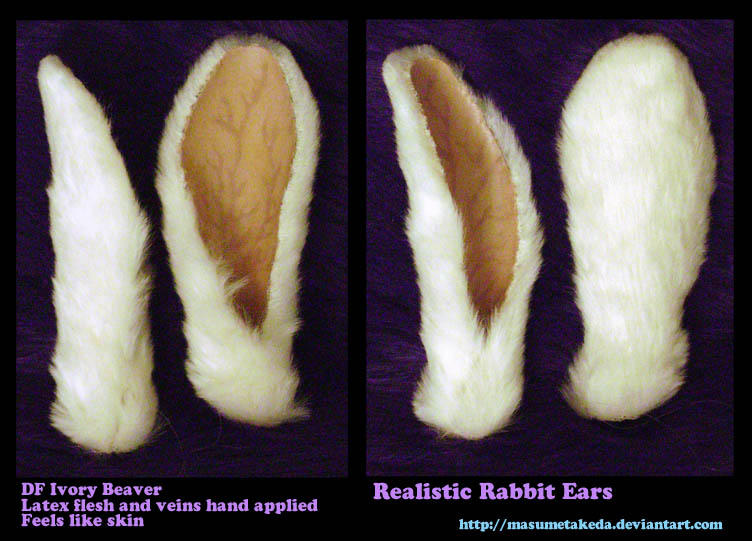 Ivory Realistic Rabbit Ears by MasumeTakeda on DeviantArt