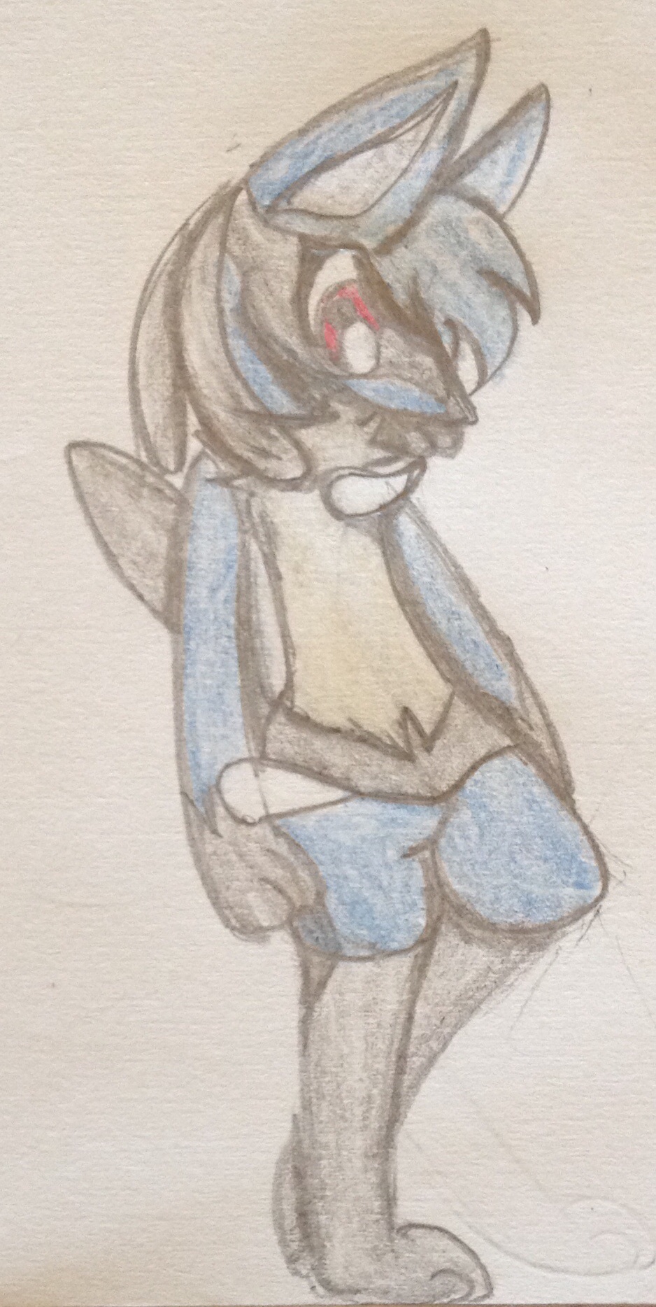 Jackie evolved into lucario