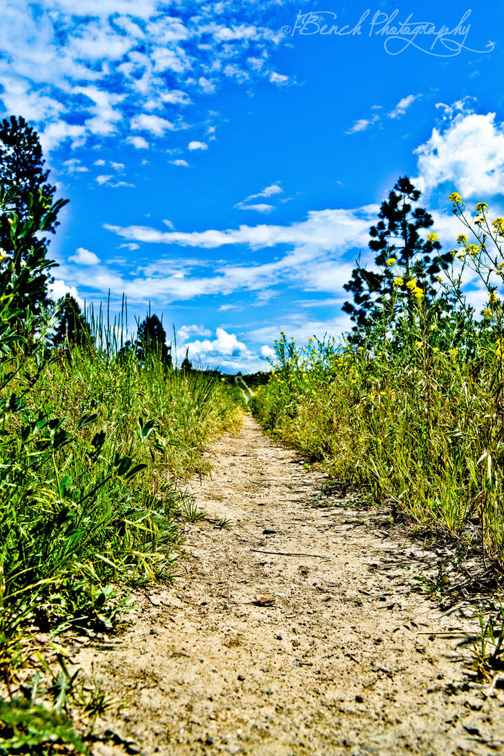 path 2 by Fbench on DeviantArt