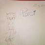 Perci the bandicoot