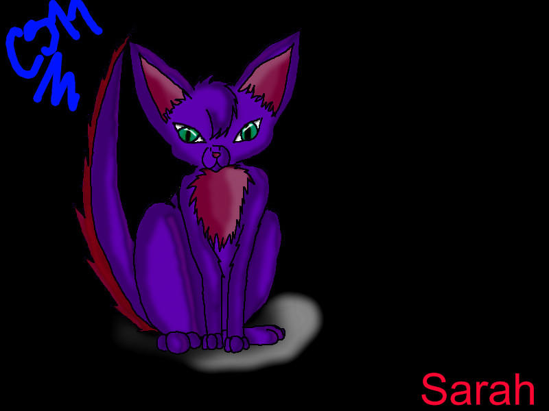 Sarah the cat by ilovecrazystuff11 on DeviantArt