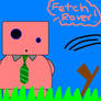 Fetch Rover