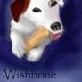 WishBONE