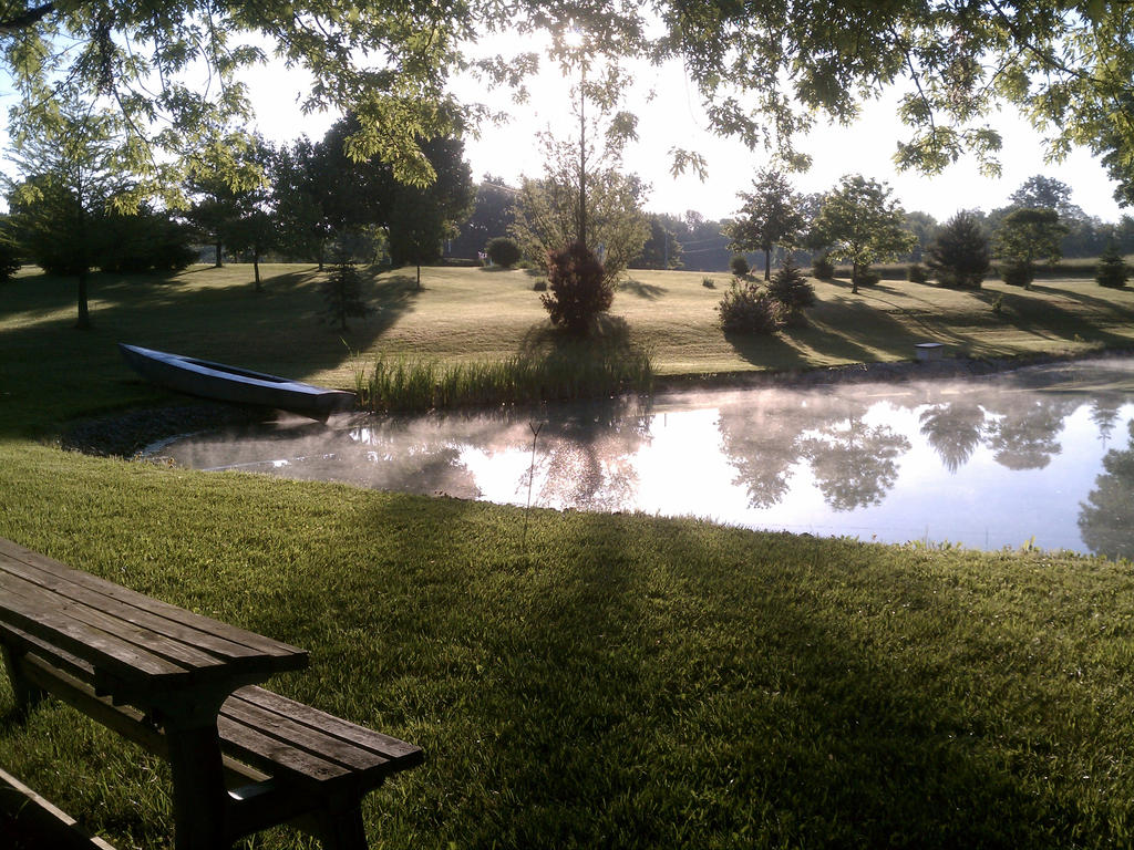 The Pond and Mist