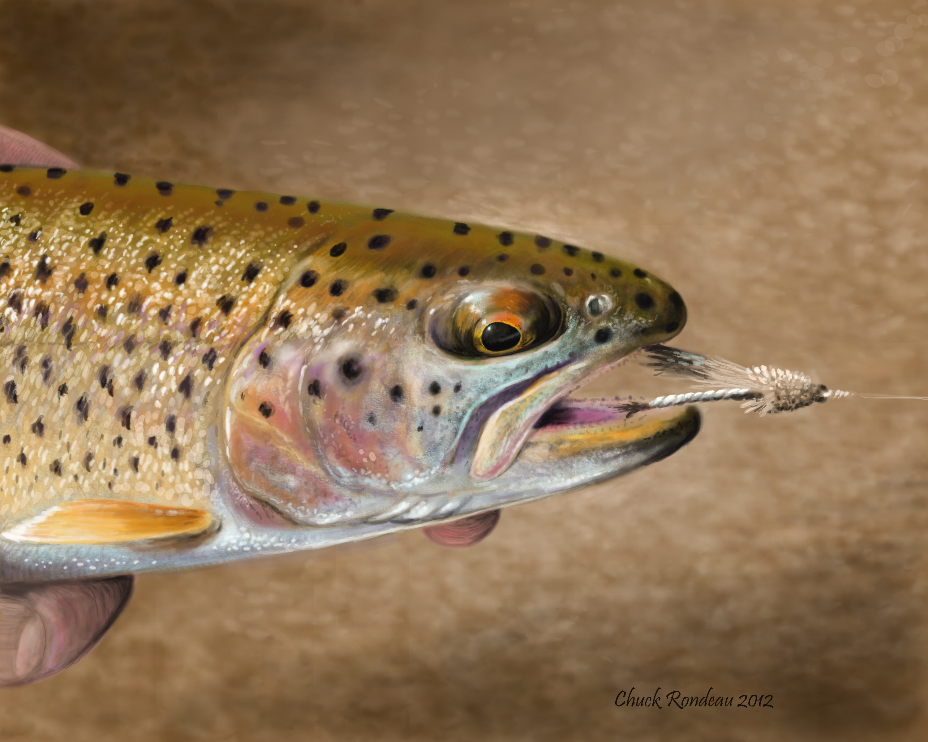 Sea-run Cutthroat Trout