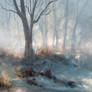 Winters Morning Light