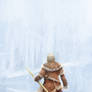 The Nomad