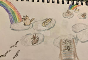 Rainbows and Kitties