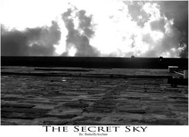 The Secret Sky