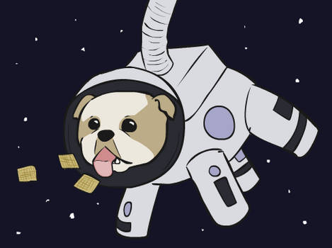 Space Dog