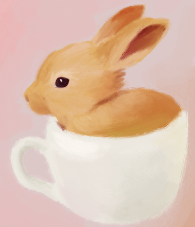 Teacup Bunny