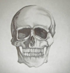 Skull Drawing