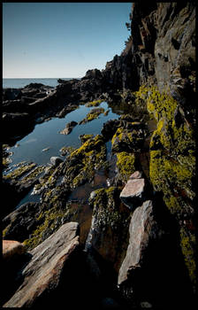 low tide