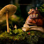snail house