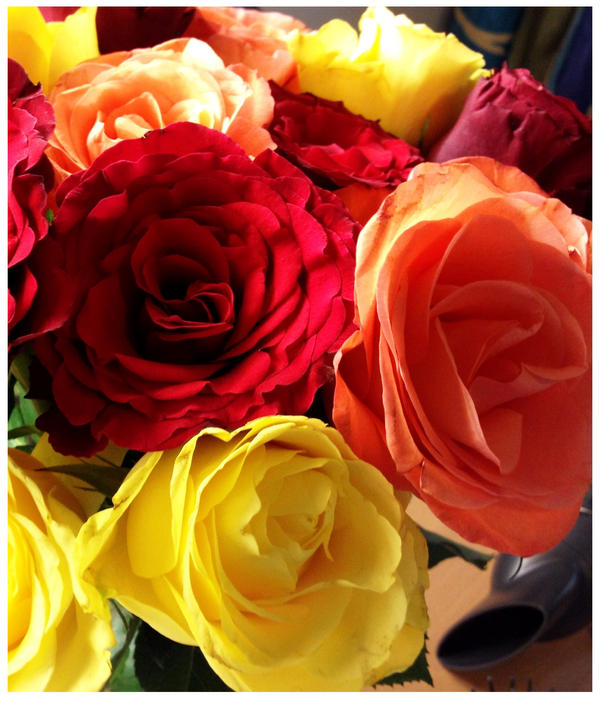 I Colored Roses Coloured Roses by sunsetaboutamy on DeviantArt