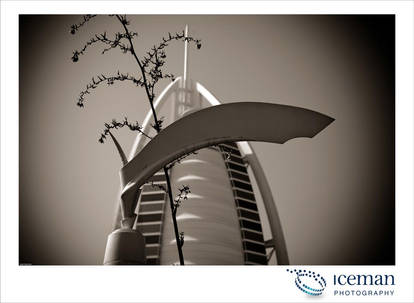 Burj Al Arab 010