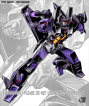 Idw  - Skywarp Bio