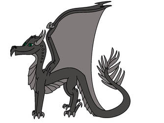 Gray dragon