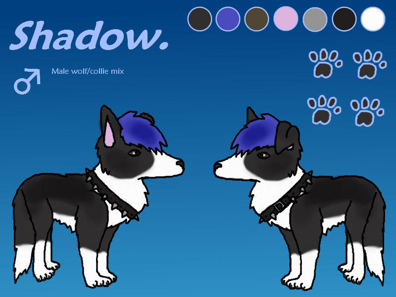 Quad Reference Shadow: Official Quad Reference by Shady-Paws on DeviantArt