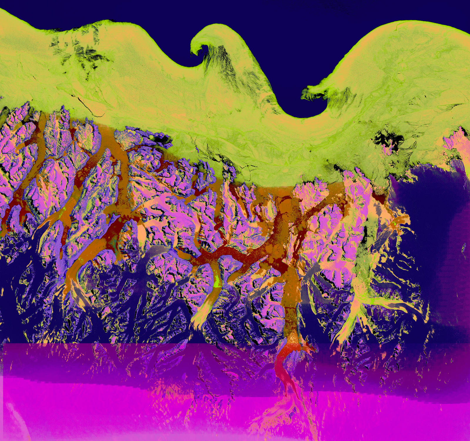 Roots by 1774744 on DeviantArt