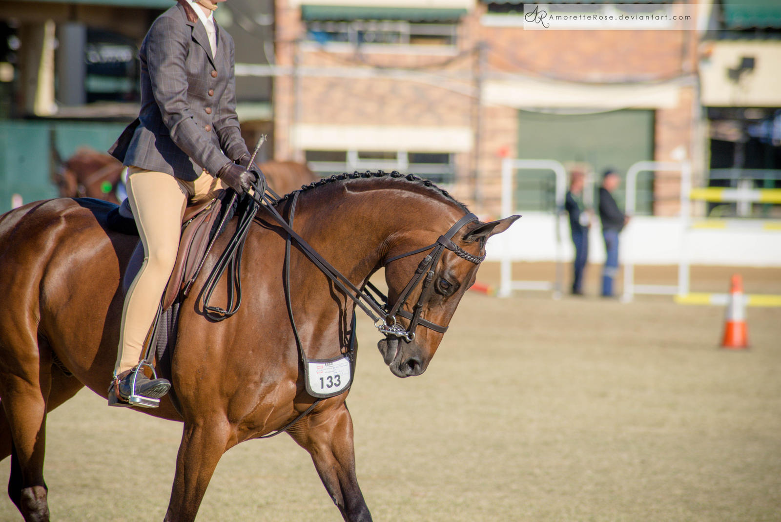 RQS Under Saddle #104