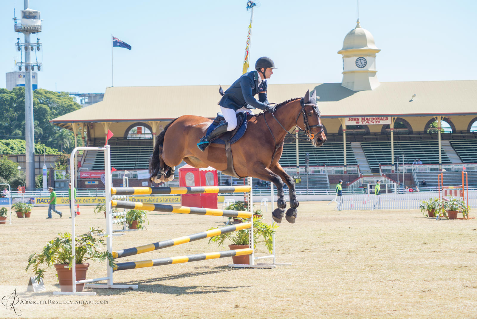 RQS Show Jumping #68 by AmoretteRose on DeviantArt